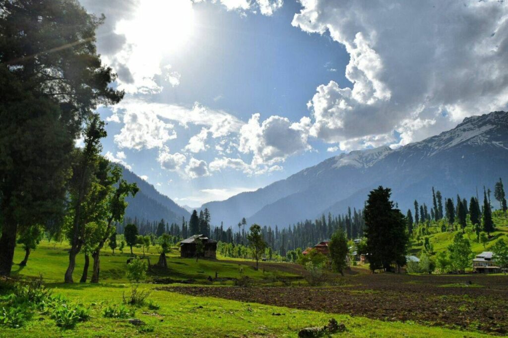 Amazing Halal trip to Kashmir, the traveler's paradise.