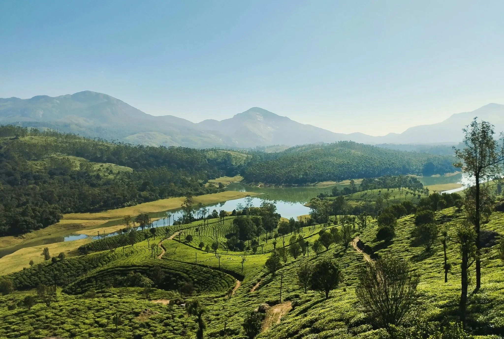 Rolling hills and tea gardens in Munnar Kerala for halal travel.