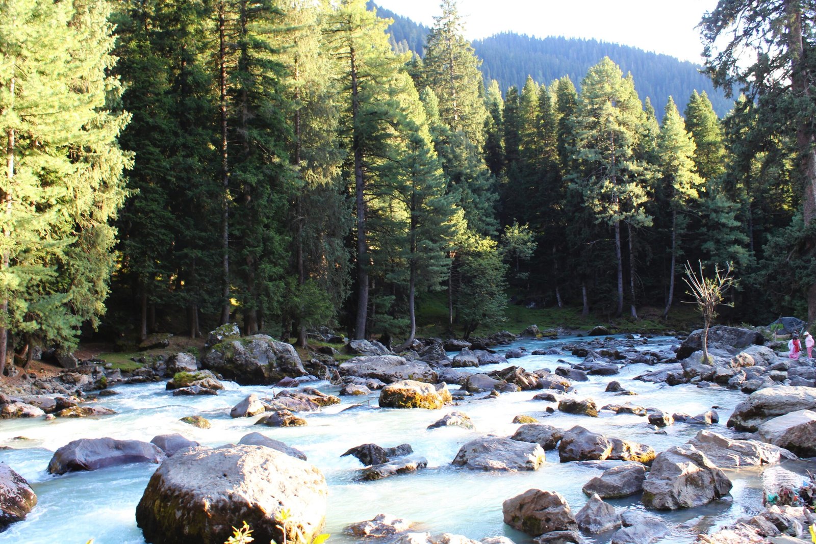 Tranquil Lidder River flowing through Pahalgam valley a halal-friendly nature retreat.