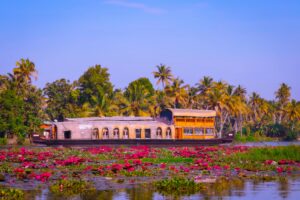 Read more about the article KERALA HALAL TOURISM: HOUSEBOATS | NATURE | ISLAMIC HERITAGE