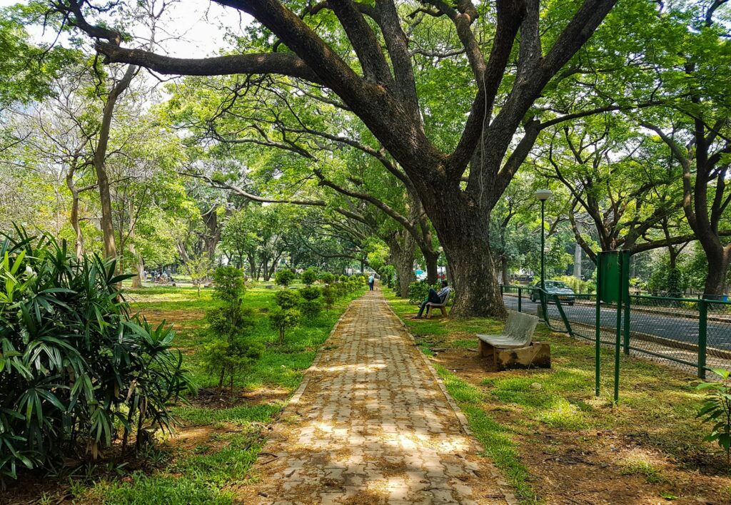 Bangalore city view with Lalbagh Botanical Garden on 6-day Halal tour