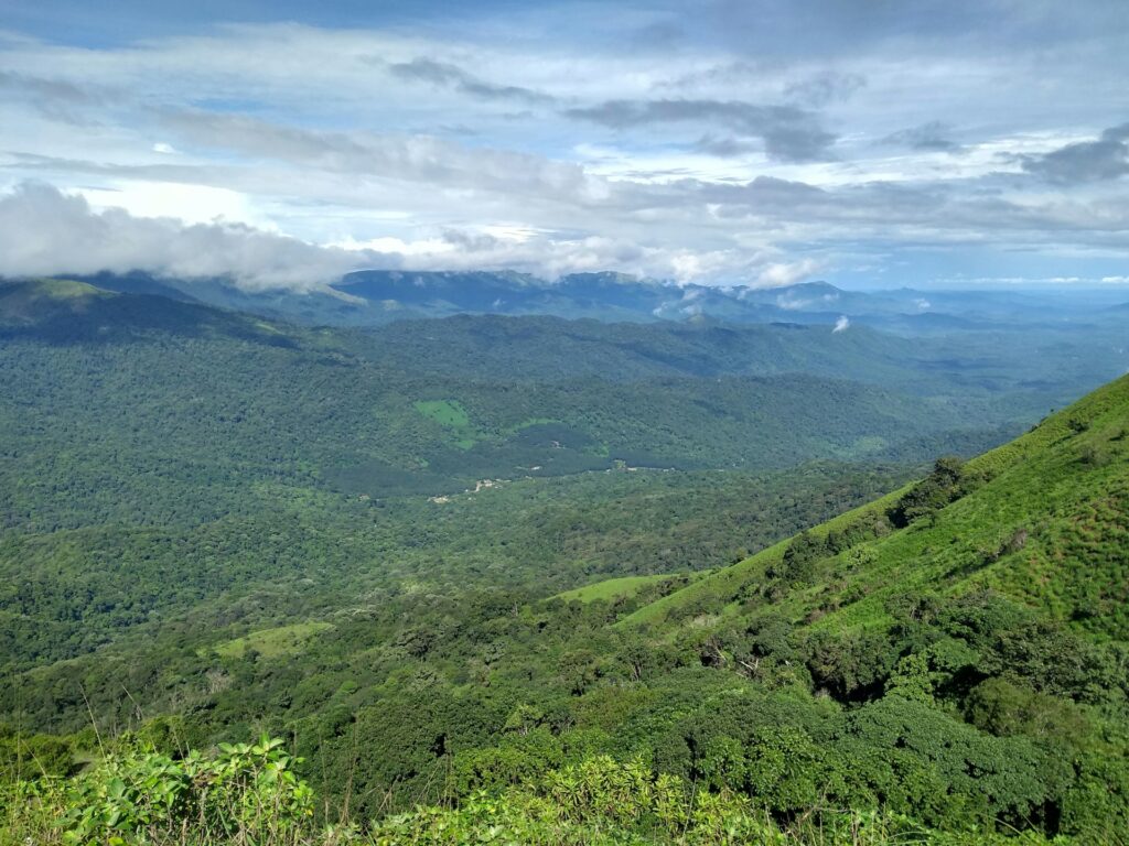 Exploring Coorg coffee plantations on a 6-day Halal-friendly South India trip