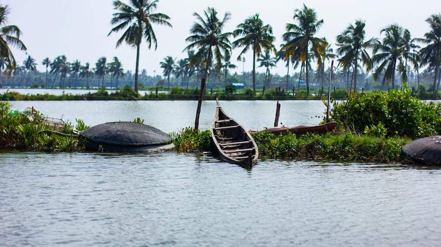 Kumarakom backwaters and bird sanctuary on a Halal-friendly Kerala houseboat tour