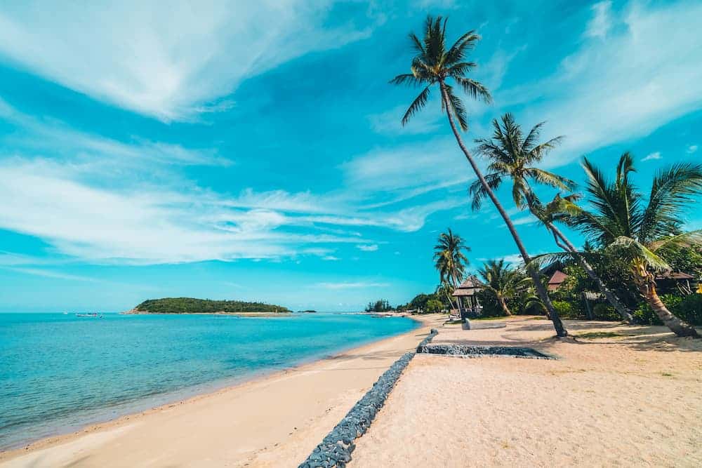Coral reefs and pristine beaches on a Halal-friendly Lakshadweep island tour