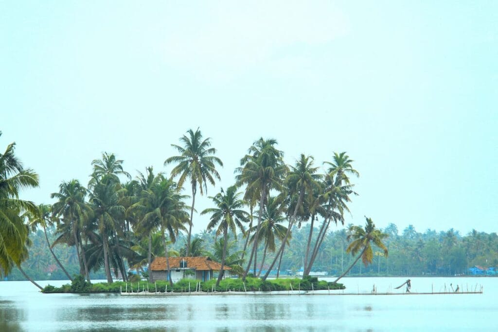 Serene village views along Alleppey's backwaters during a Halal-friendly houseboat cruise