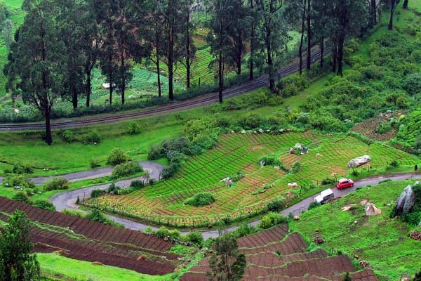 Muslim travelers enjoying panoramic views from Doddabetta Peak, the highest point in the Nilgiris