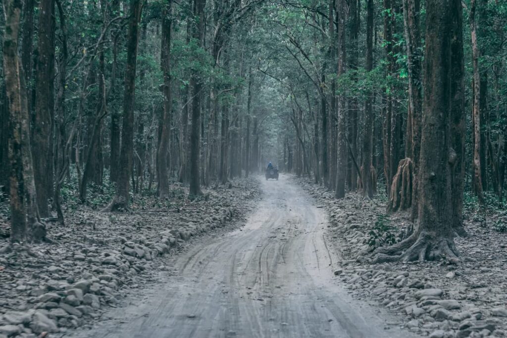 Muslim travelers exploring Jim Corbett on a Muslim-friendly trip