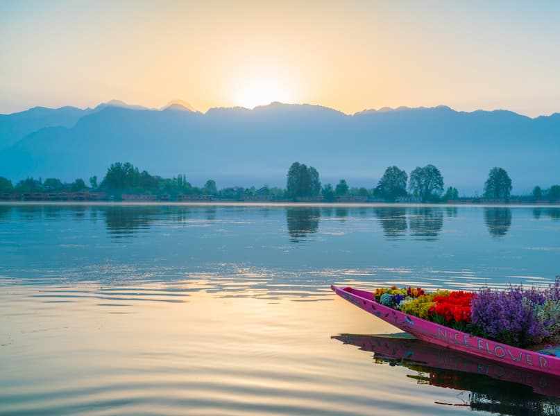 Shikara boats on Dal Lake, featured in a Halal-friendly Kashmir destination guide