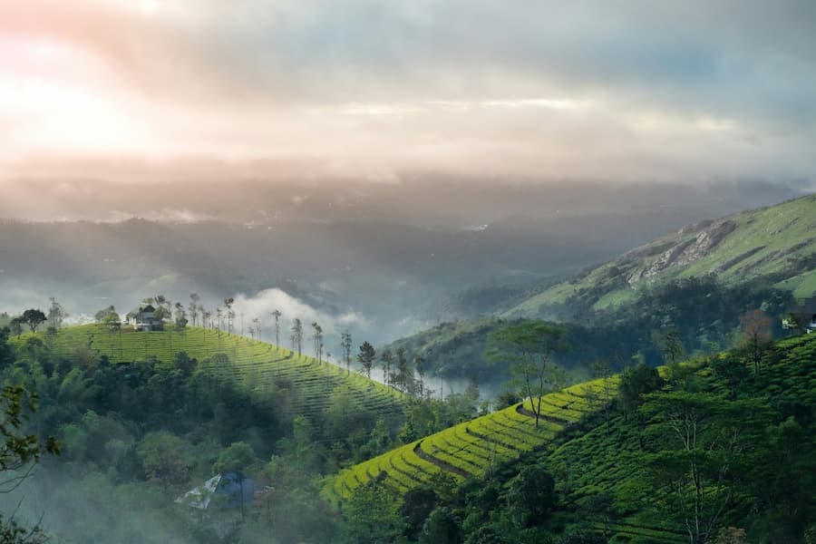 Muslim family exploring Munnar's tea estates on a Halal-friendly Kerala trip