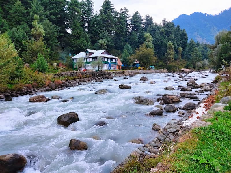 Lidder River flowing through Pahalgam's pine forests on a Halal-friendly Kashmir trip