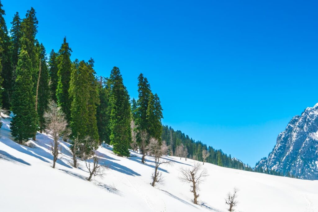Alpine meadow and glacier views near Sonmarg, ideal for family day trips