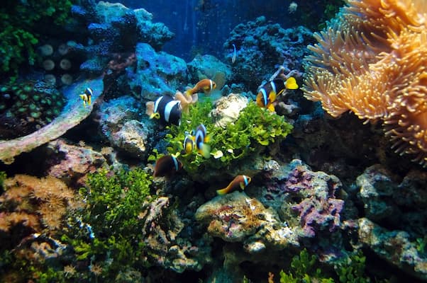 Muslim family visiting Vizhinjam Marine Aquarium near Kovalam on a Halal-friendly trip