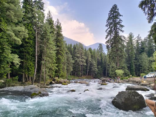 Muslim family exploring Doodhpathri Valley of Milk on 8-Day Kashmir Halal Tour