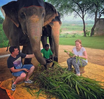 Muslim family interacting with elephants at Elephant Village near Jaipur