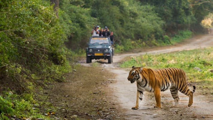 Muslim honeymoon couple on a private jungle safari in Jim Corbett