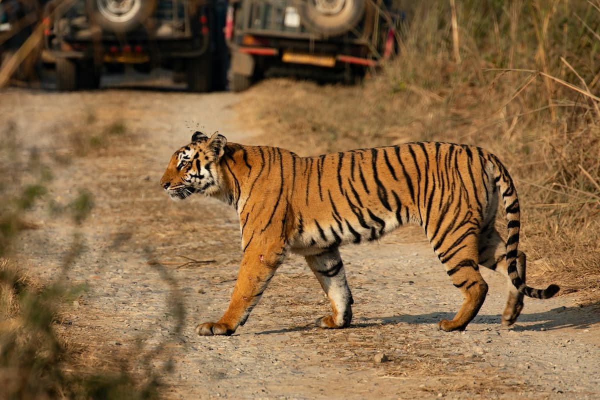 Muslim family on a tiger safari in Jim Corbett National Park