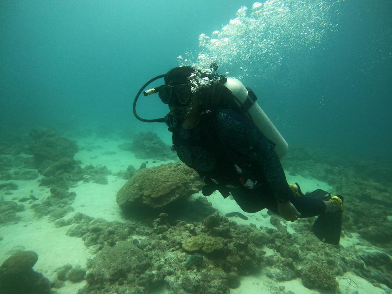 Muslim couple snorkeling in a coral lagoon, Lakshadweep