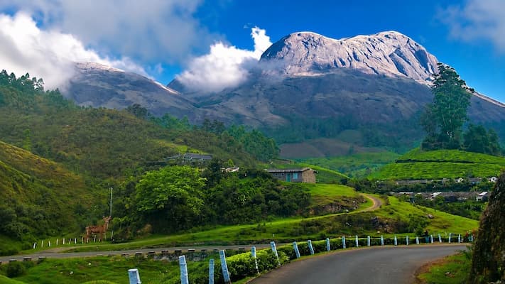 Muslim family exploring Munnar's tea gardens on a Kerala Halal Tour