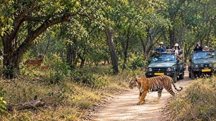 Muslim family on a tiger safari in Ranthambore National Park